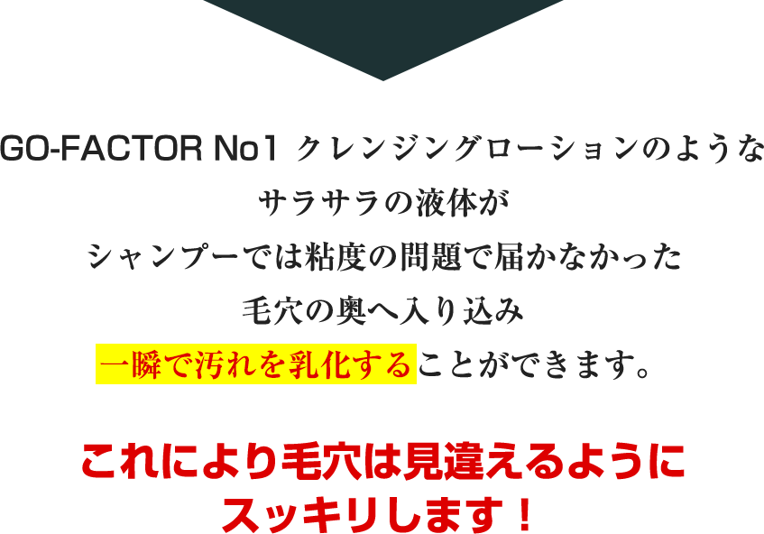 GO-FACTOR