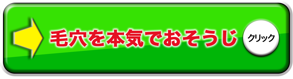 毛穴を本気でおそうじ