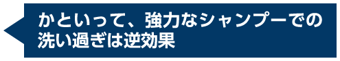 かといって、強力なシャンプーでの洗い過ぎは逆効果