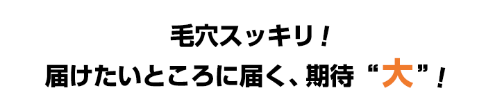 毛穴スッキリ！これで育毛剤の効果も、期待大！