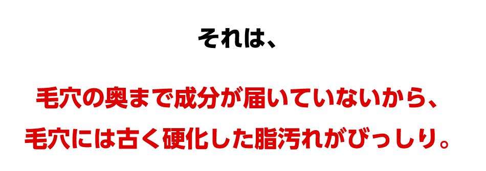 それは、毛穴の奥まで成分が届いていないから、毛穴には古く硬化した脂汚れがびっしり。