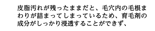 皮脂汚れが残ったままだと、毛穴内の毛根まわりが詰まってしまっているため、育毛剤の成分がしっかり浸透することができず、