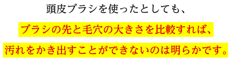 頭皮ブラシを使ったとしても、ブラシの先と毛穴の大きさを比較すれば、汚れをかき出すことができないのは明らかです。