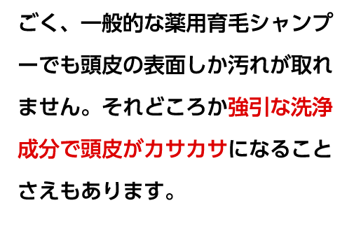 ごく、一般的な薬用育毛シャンプーでも頭皮の表面しか汚れが取れません。それどころか強力な洗浄成分で頭皮がカサカサになることさえもあります。
