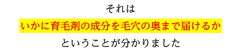 それはいかに育毛剤の成分を毛穴の奥まで届けるかということが分かりました