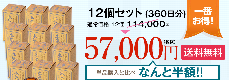 12袋セット (360日分) 57,000円(税抜) 送料無料