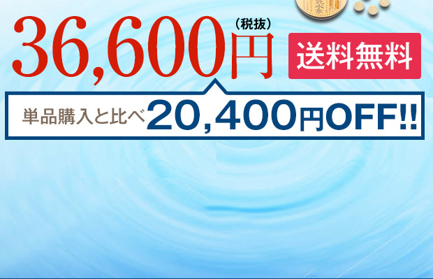 12,540円（税抜）送料無料　単品購入と比べ10,260円OFF！！