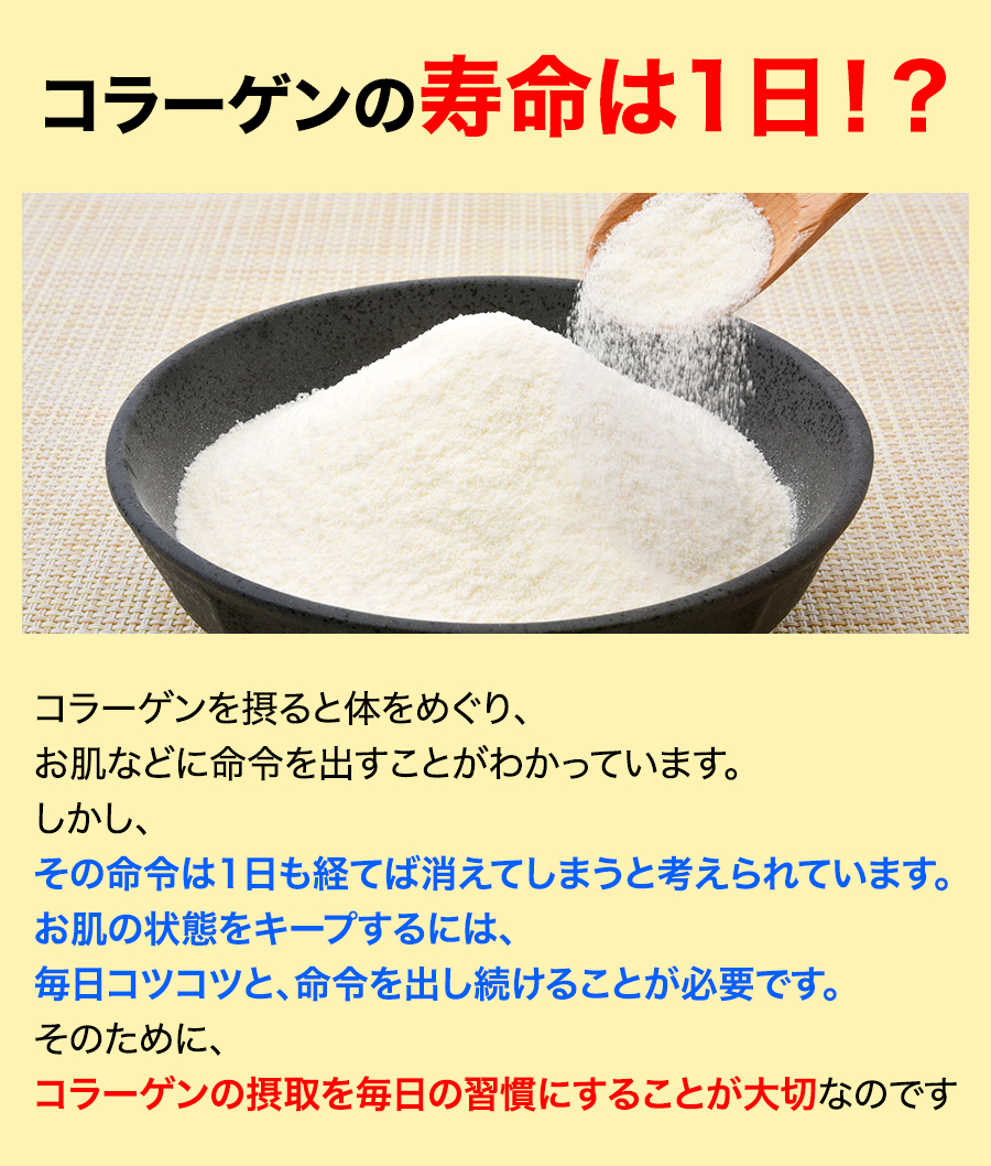寿命は1日！？