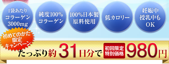 Ķǻ顼31֥˥