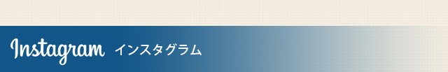 インスタグラム